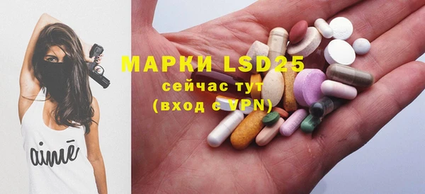 стаф Абинск