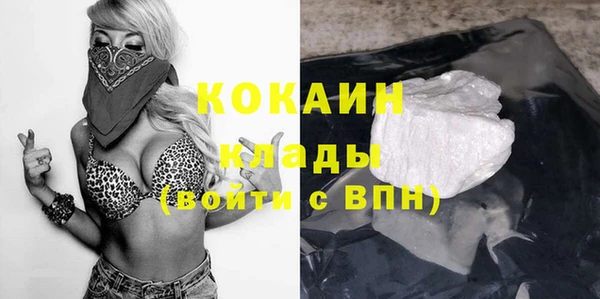 стаф Абинск