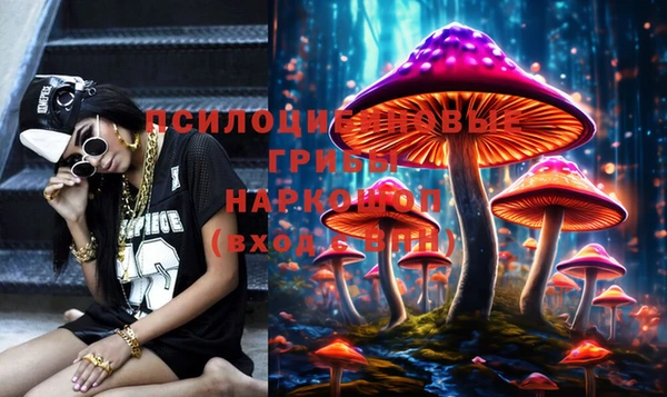 эйфоретик Саяногорск