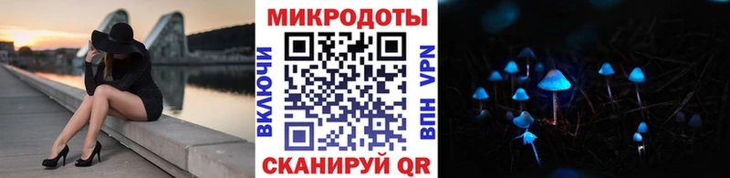 Галлюциногенные грибы Psilocybe  Каменногорск 